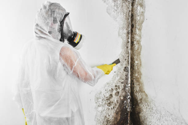Best Water Damage Restoration  in Hope Valley, RI