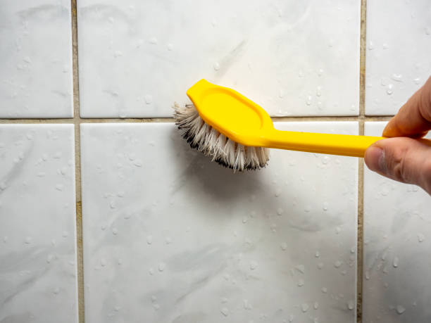 Best Mold Damage Repair  in Hope Valley, RI