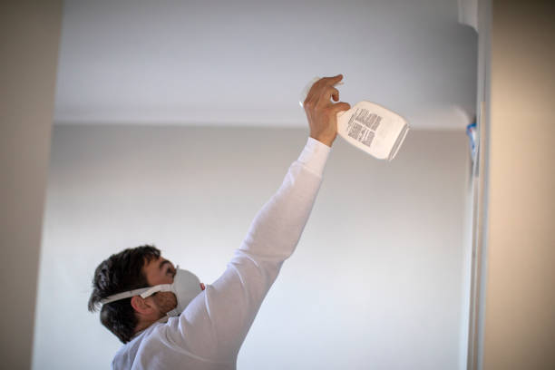 Best Professional Mold Removal  in Hope Valley, RI