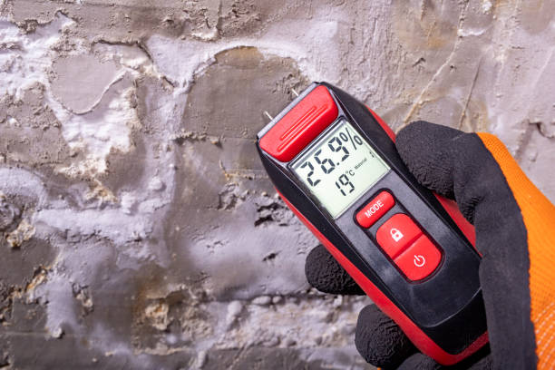 Certified Mold Removal in Hope Valley, RI