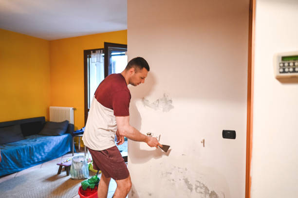 Best Mold Removal and Inspection  in Hope Valley, RI