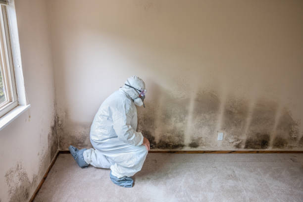 Best Crawl Space Mold Removal  in Hope Valley, RI