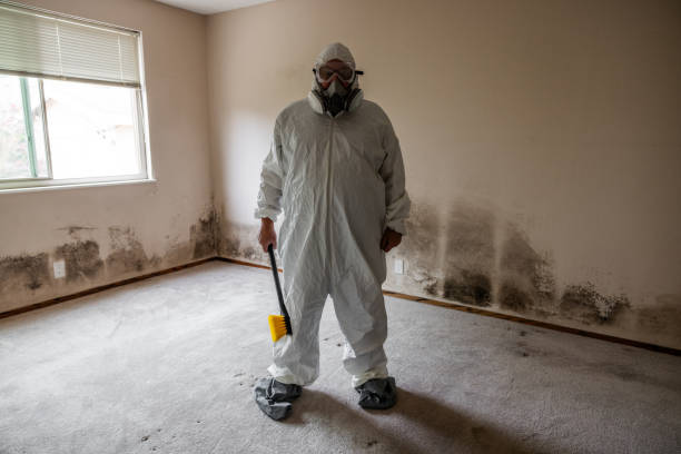 Best Mold Testing  in Hope Valley, RI